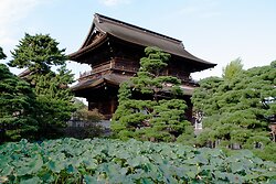 Gate at Zenkō-ji-Temple