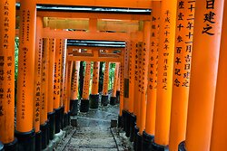 Gates at the Fushimi-Inari-shrine